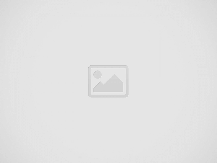 Bonus Inps 800 euro